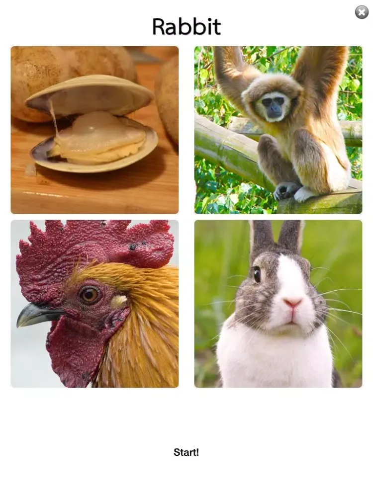 ภาพหน้าจอของ 30s Guess Animal : Free Animal Quiz Fun Game iPad 