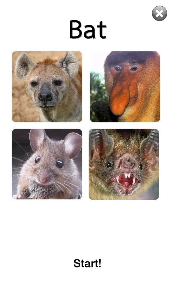ภาพหน้าจอของ 30s Guess Animal : Free Animal Quiz Fun Game