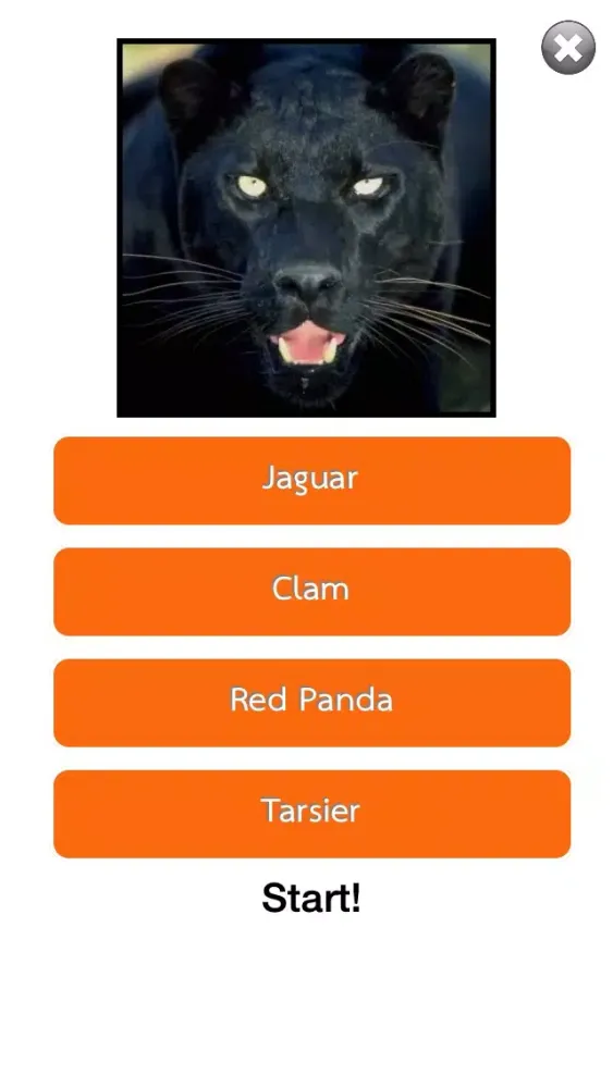 ภาพหน้าจอของ 30s Guess Animal : Free Animal Quiz Fun Game