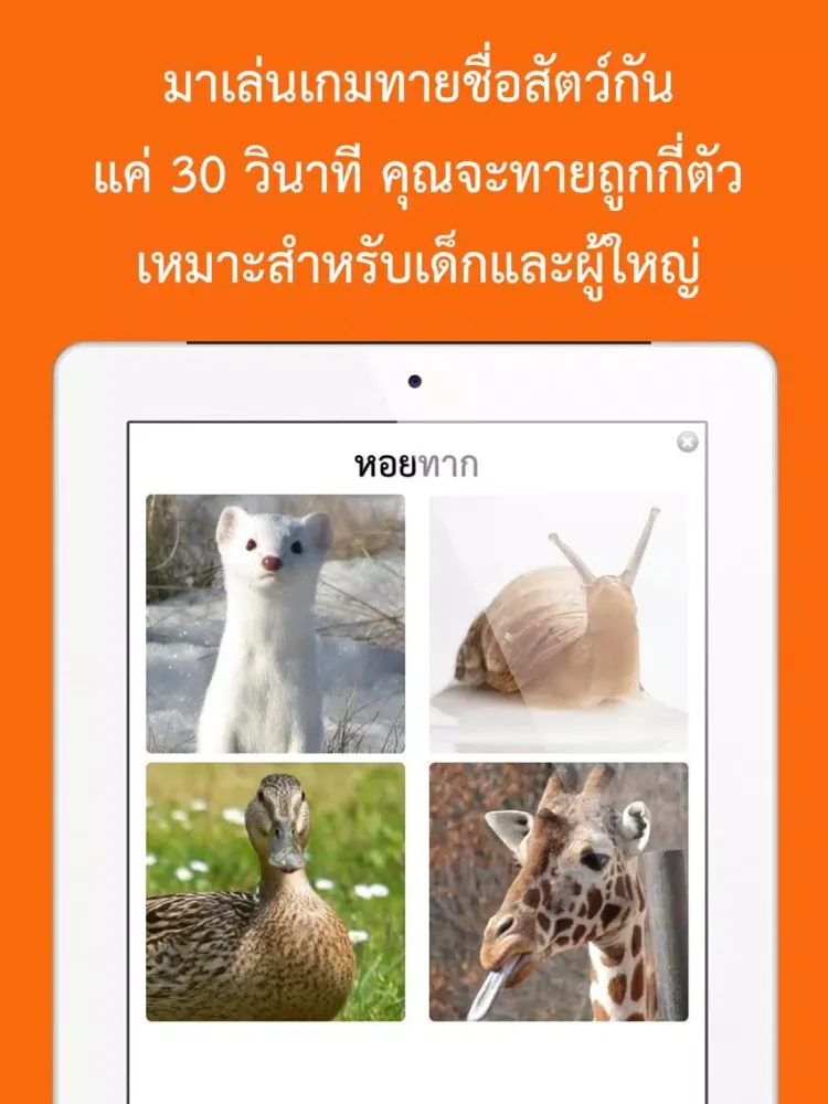 Tangkapan layar เกมทายชื่อสัตว์ : ใน 30 วินาทีคุณทายได้กี่คำ? iPad 