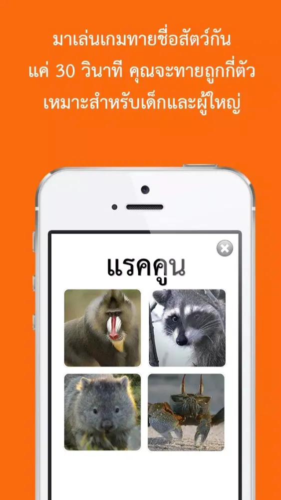 Tangkapan layar เกมทายชื่อสัตว์ : ใน 30 วินาทีคุณทายได้กี่คำ?