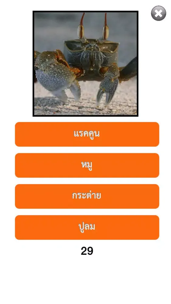 Tangkapan layar เกมทายชื่อสัตว์ : ใน 30 วินาทีคุณทายได้กี่คำ?