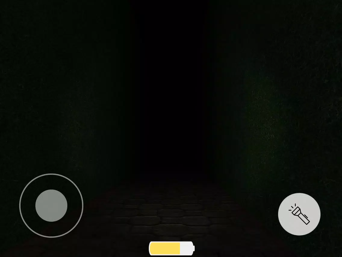 Ảnh chụp màn hình của Dark Entity iPad 