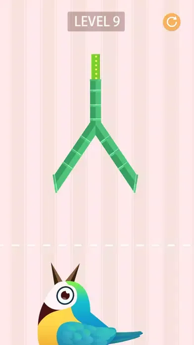 تصاویر Bird Fight!