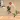 Basketball Battle