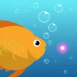Idle Aqua Idle Aqua