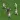 Top Scorer 2