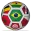 Copa Feminina