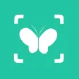 ianimal - animal Identifier