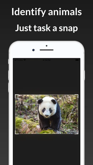 ianimal - animal Identifier سکرین شاٹس