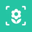 iplant - Plant Identification