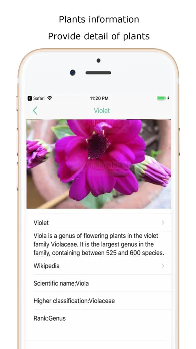 Ảnh chụp màn hình của iplant - Plant Identification