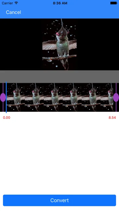 VideoToLive -  Make wallpaper Screenshots