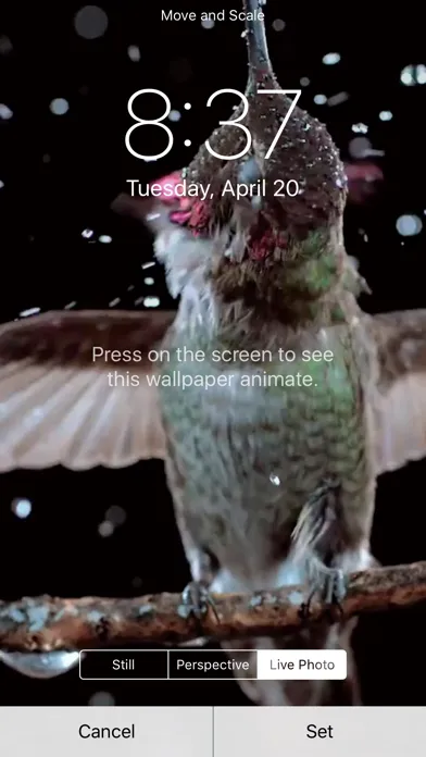VideoToLive -  Make wallpaper Screenshots