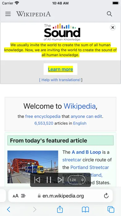 WebReader - Read Aloud Web Screenshots