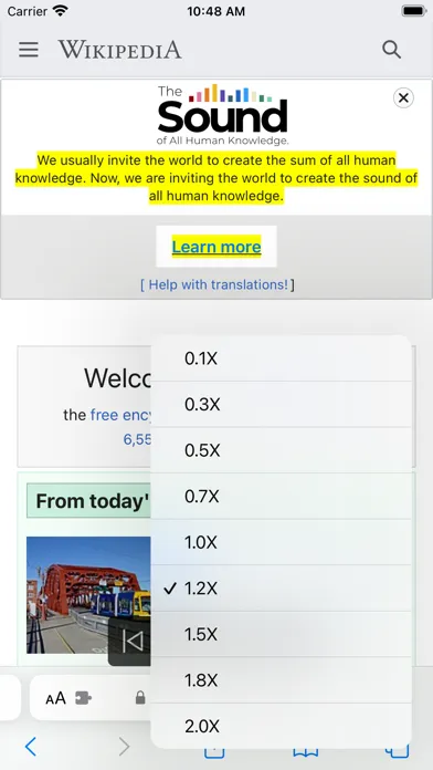 WebReader - Read Aloud Web Screenshots