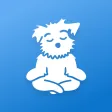 Meditation