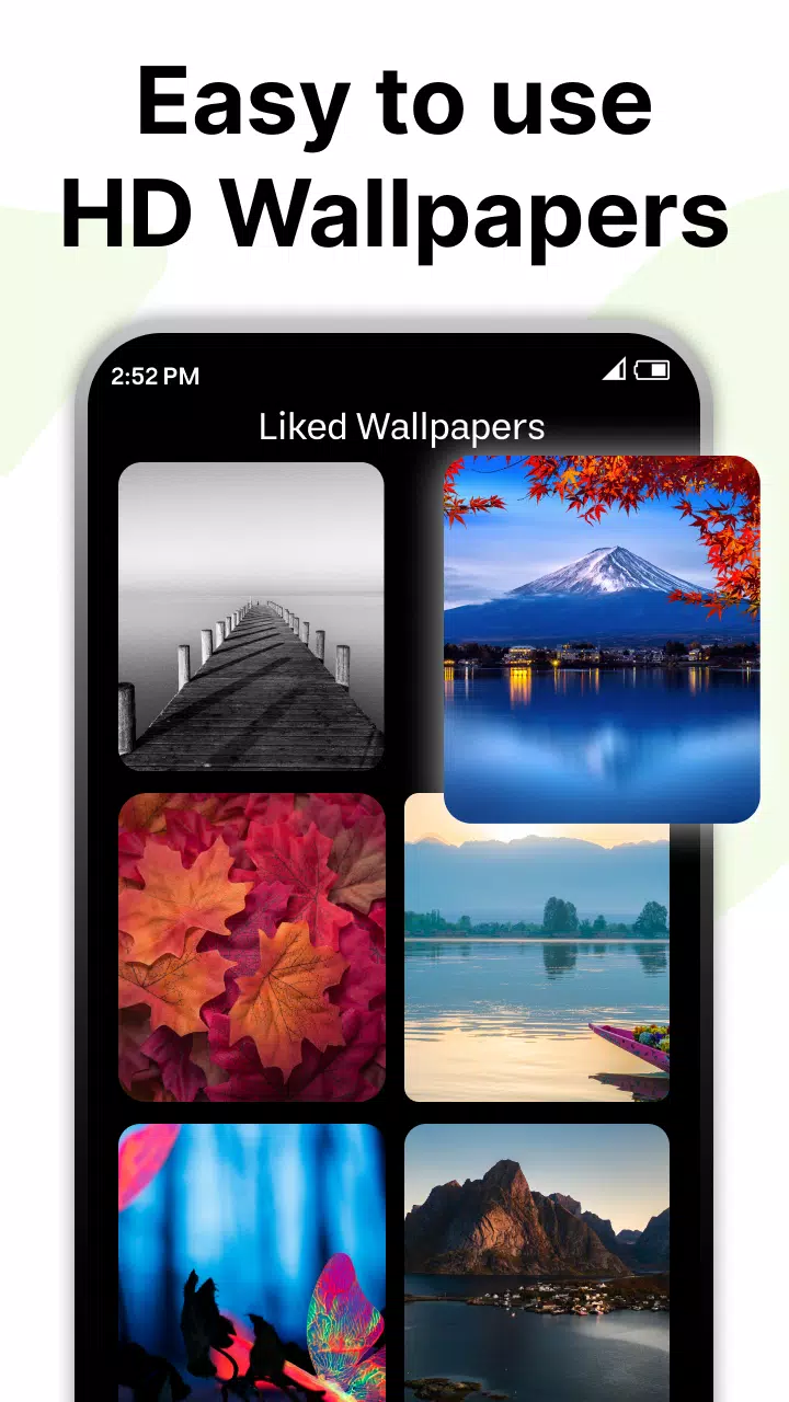 HD Video Downloader應用截圖