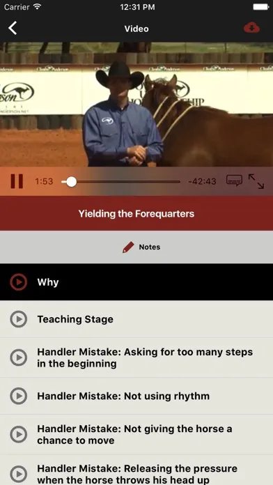 Tangkapan layar Downunder Horsemanship