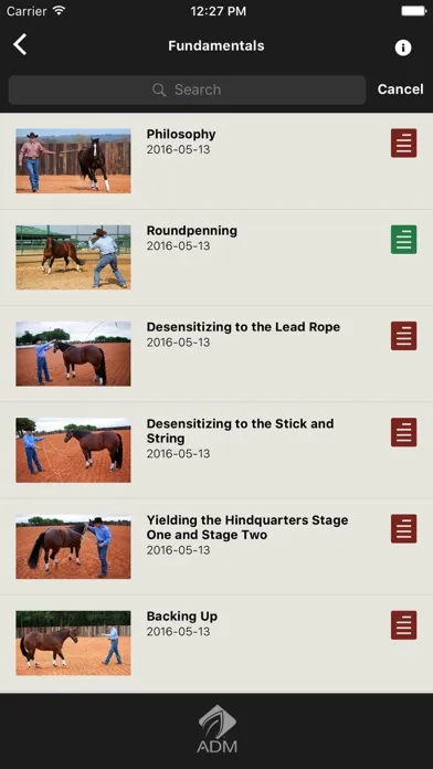 Tangkapan layar Downunder Horsemanship