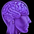 Misophonia Reflex Finder