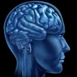 Misophonia Trigger Tamer