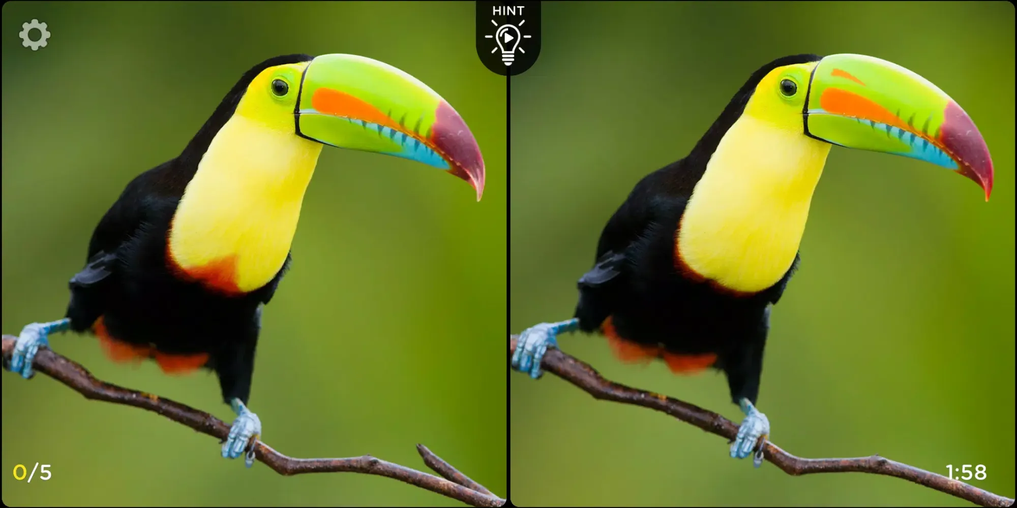 Spot The Difference: Fashion应用截图