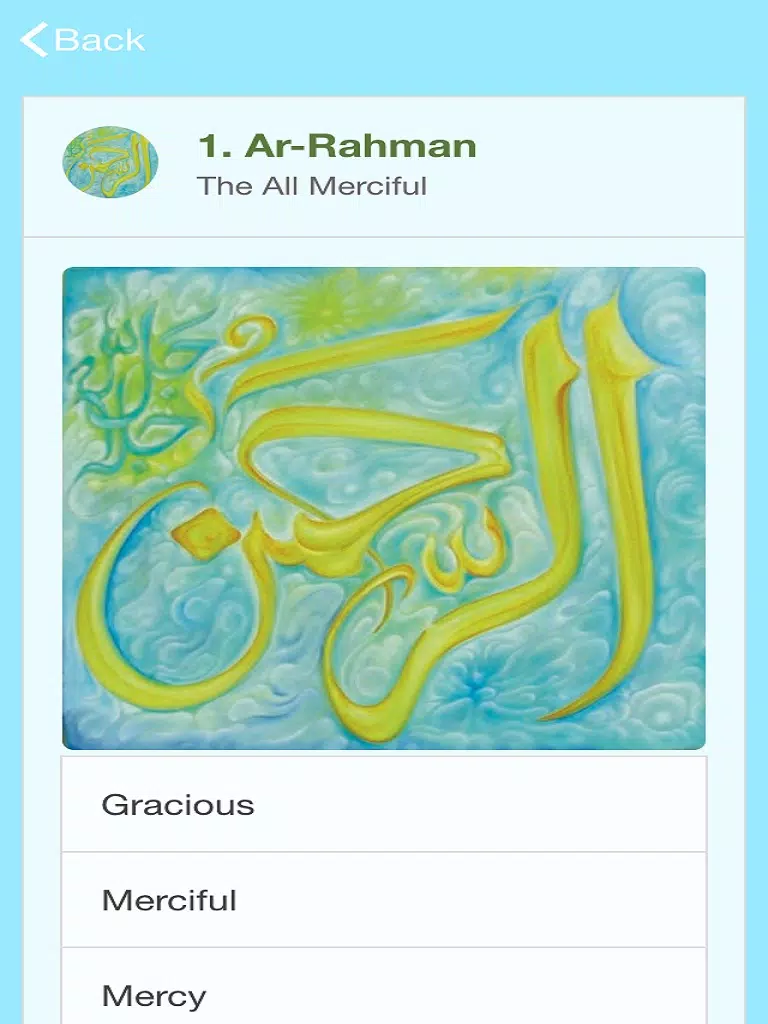 Capturas de pantalla de 99 Names of Allah Meaning Search iPad 