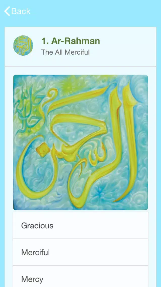 Capturas de pantalla de 99 Names of Allah Meaning Search