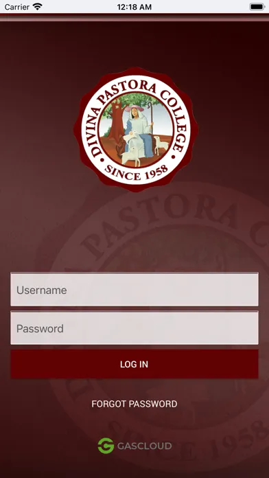 Zrzuty ekranu Divina Pastora College