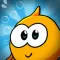 Angry Fish The Puzzle