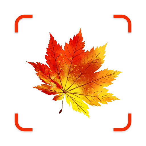 Plant Identifier App - EarthID Plant Identifier App - EarthID