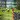 Dino Games - 3D Hunting Games