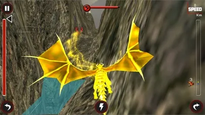 Captures d'écran de Dragon Adventure Flying : Xtreme Mount Race Sim