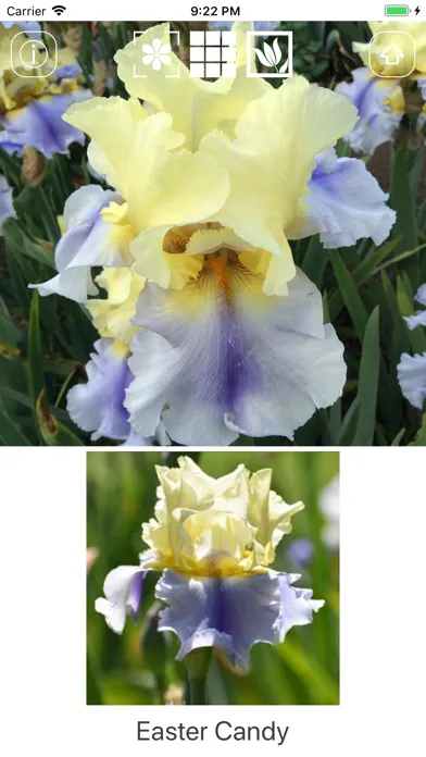 Capturas de tela do Instant Iris