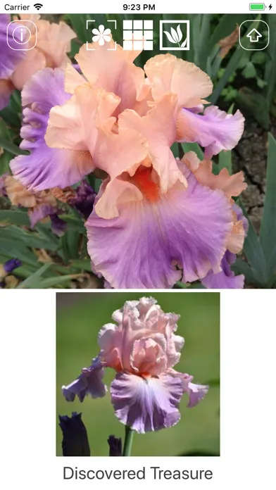 Capturas de tela do Instant Iris