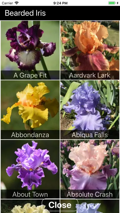 Capturas de tela do Instant Iris