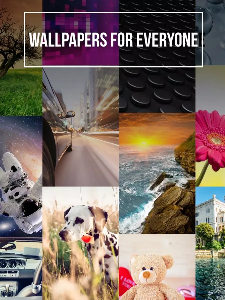 Wallpapers@ iPad  স্ক্রিনশট