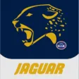 ST455 Jaguar