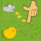 Animal feeding