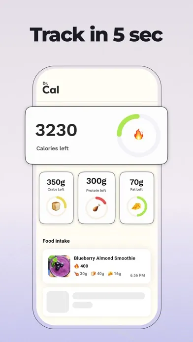 Dr Cal - AI Calorie Tracker應用截圖