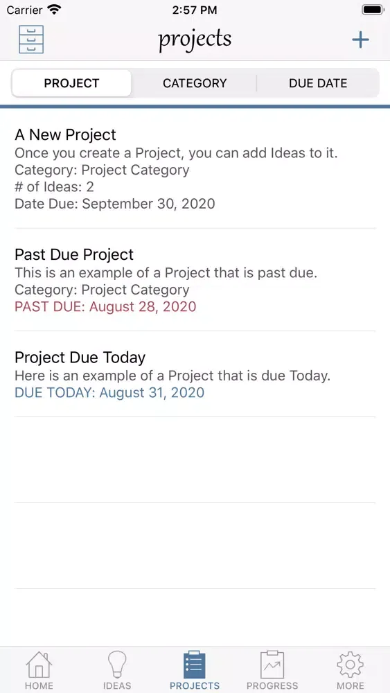 Capturas de tela do myIdeaCache: Idea Organizer