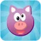 Pig Fly Piggie