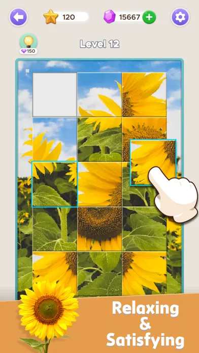 Jigsort Puzzle Games স্ক্রিনশট