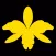 Orquidea