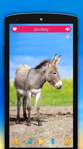 Capturas de pantalla de Animal Sounds