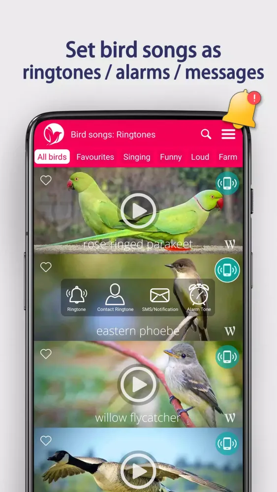 Bird Songs: Ringtones Screenshots