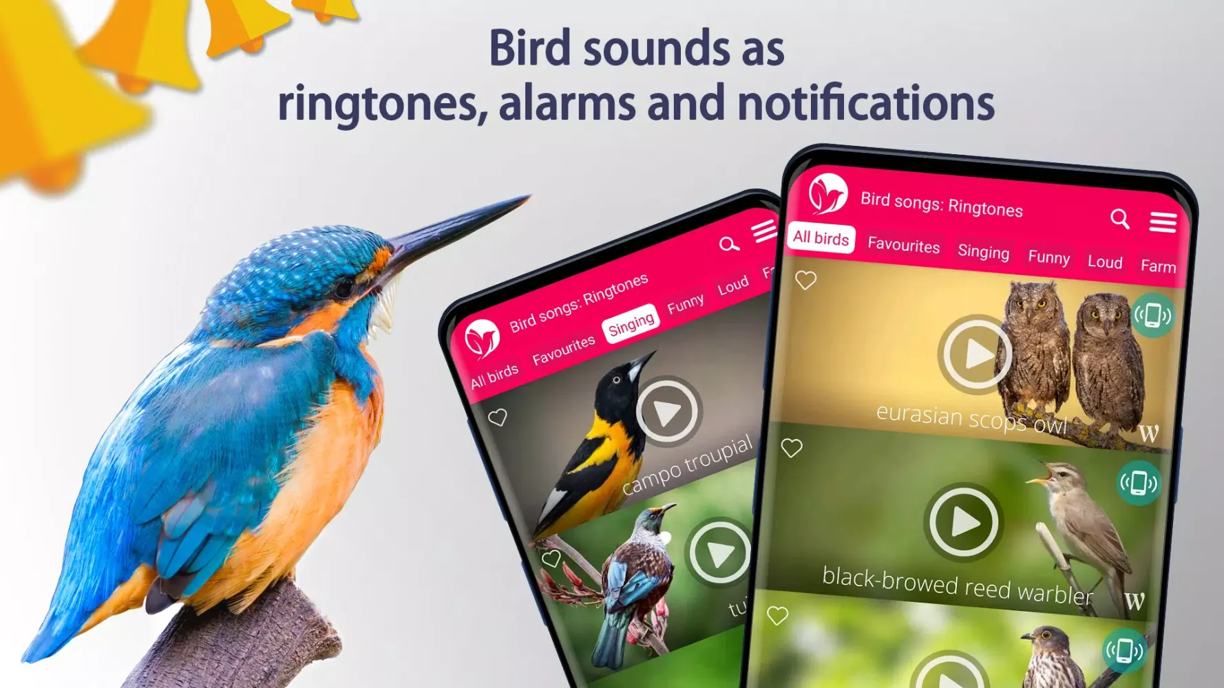 Bird Songs: Ringtones Screenshots
