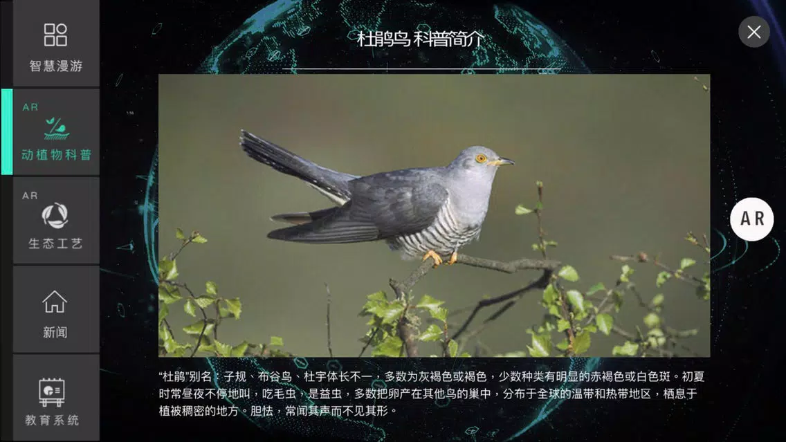 伊通河智慧湿地应用截图