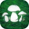 Real Mushroom Hunting Simulato